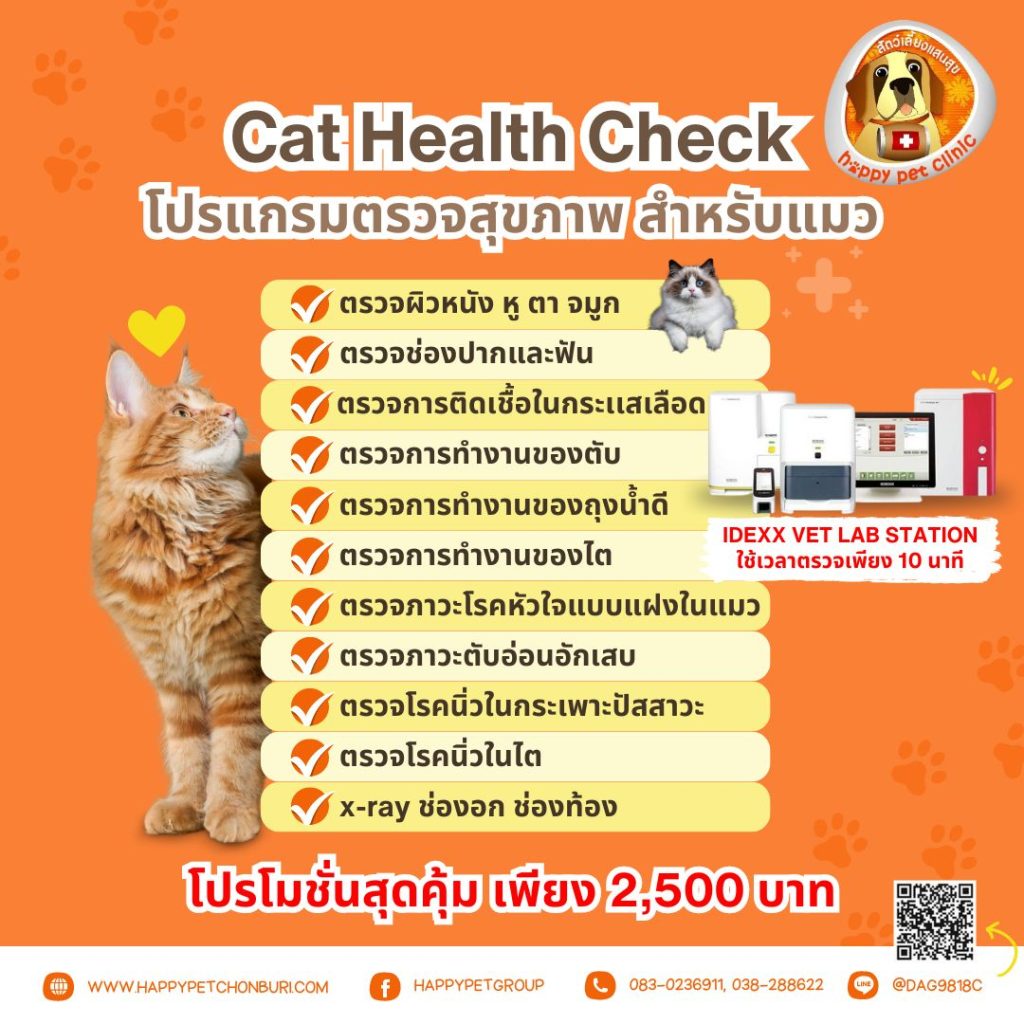“Cat Health Check” โปรแกรมตรวจสุขภาพแมว