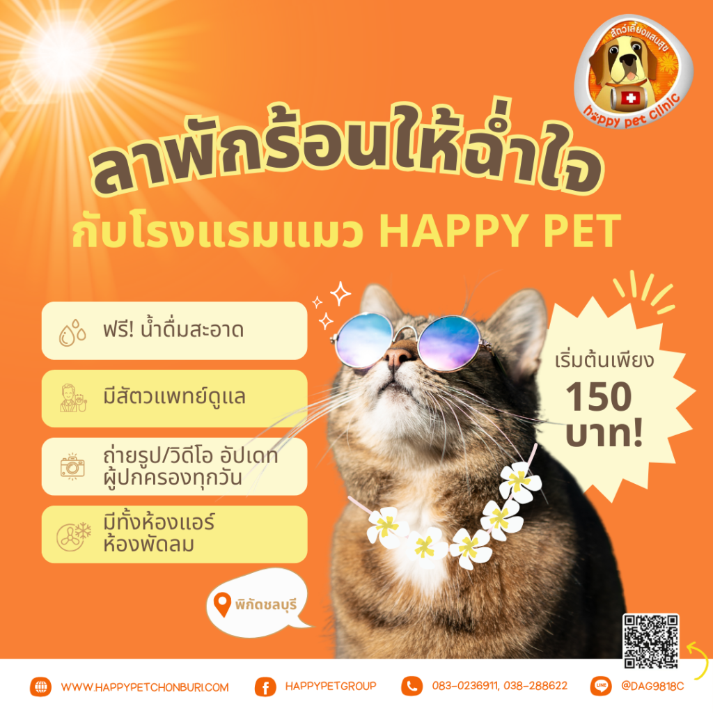 โรงแรมแมว Happy Pet บริการฝากเลี้ยวแมว พิกัดชลบุรี