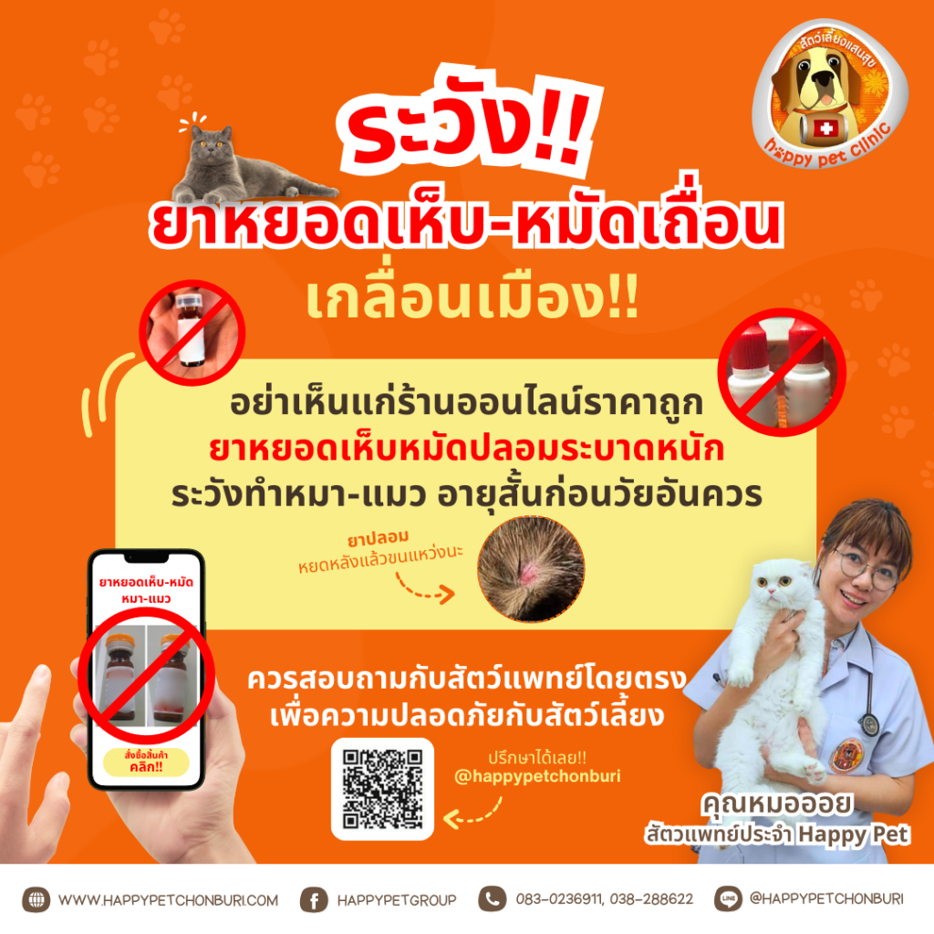 รักกันจริง อย่าทำร้ายน้องๆ ด้วยการใช้ยาหยอดเห็บ-หมัดปลอม!